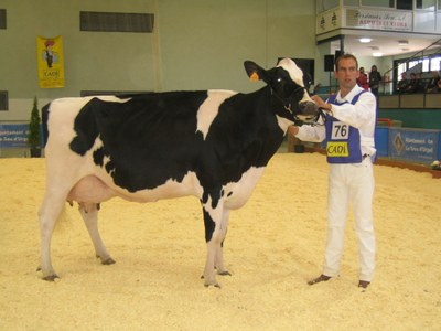 Fira Ramadera 2008 - Cal Marquet