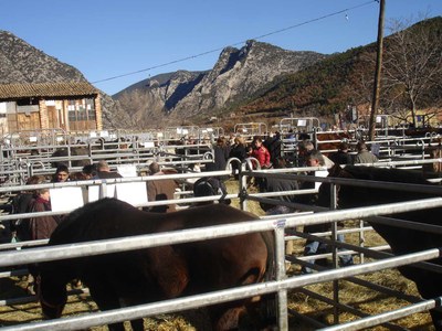 La Fira de Sant Andreu a Organyà
