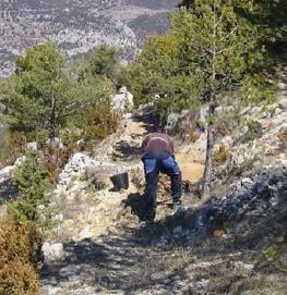 Integra Pirineus - Muntanya d'Alinyà