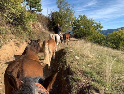 Transhumància de cavalls (Fundació Miranda)