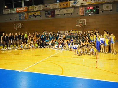 Participants a la Gala de Campions de Patinatge Artístic 2015