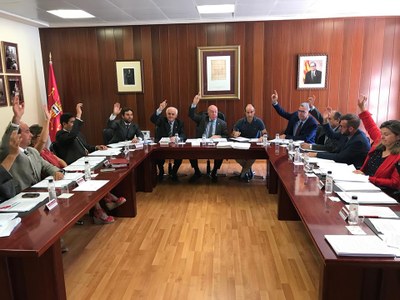Ple del Conselh Generau d'Aran (CGA)