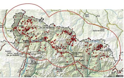 Àrea amb presència permanent de l'ós bru al Pirineu català