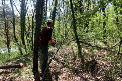 Una persona treballant en un bosc de la Vall de Lord (Foto d'arxiu/ACN)