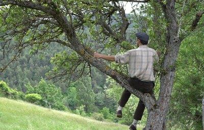 Joel Pla en el paper de Quiri Nyus a l’espectacle en camí “La nit del solstici d’estiu” (Foto: CCAU)