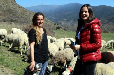 Anna Plana, amb el seu ramat i la Vall d'Àssua al fons, acompanyada de Laura Gordó (Foto: ACN)
