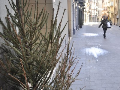 Avets de Nadal