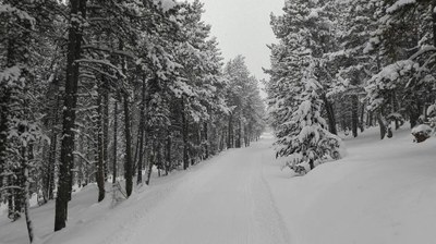 Lles de Cerdanya, després de la nevada