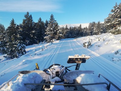 Fotografia actual de les pistes de la Marxa Pirineu (Foto: Tot Nòrdic)