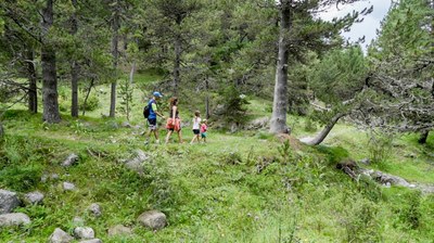 Senderisme a La Molina (Foto: Gencat)