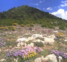 Reserva de fauna i flora d'Alinyà