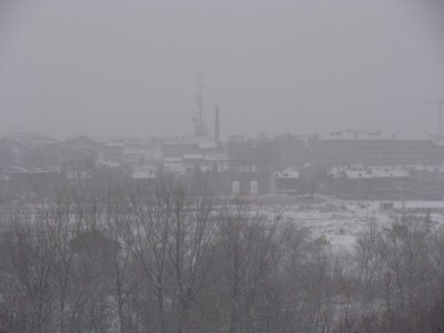 Nevada a la Seu