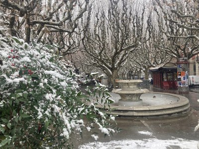 Nevada a la Seu d'Urgell, aquest dimecres a la tarda (Foto: Ignasi Cervera)