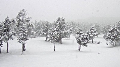 Guils-Fontanera, aquest matí (Foto: Tot Nòrdic)