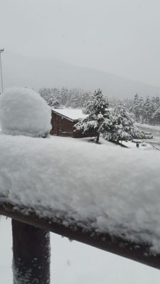La Molina, aquest matí (@snowlamolina)