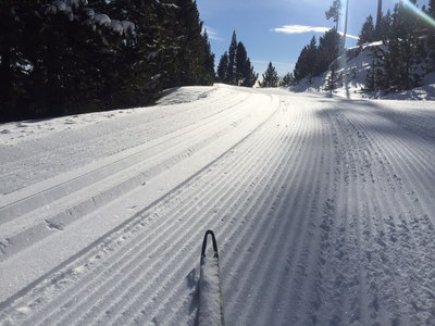 Una de les pistes d'esquí nòrdic obertes (Foto: Tot Nòrdic)
