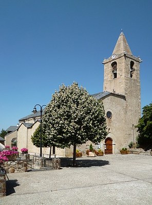 Sallagosa