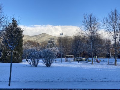 El parc de la Boixadera de la Seu, aquest matí (Foto: @jicervera)