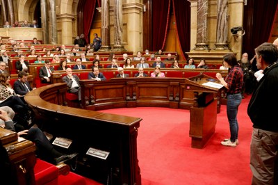 Intervenció d'Imma Puigcorbé, acompanyada de Joan Caball, Joan Carles Massot i Ramon Sarroca, al ple monogràfic del Parlament sobre el sector primari (Foto: ACN)