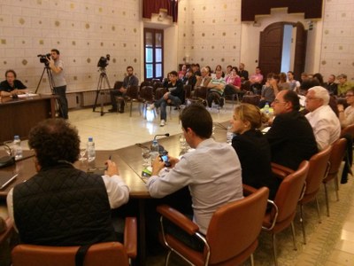 Ple Públic 13.05.2013