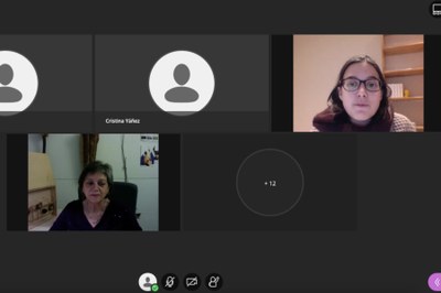 Lliurament virtual dels primers Premis Càtedra Pirineus UdL (Imatge: CEPIP-UdL)