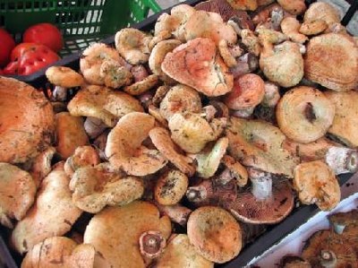 Cistell de bolets