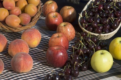 Fruites (Foto: Departament d'Agricultura)