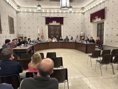 Ple ordinari de l'Ajuntament de la Seu d'Urgell - Febrer 2025 (Foto: RàdioSeu)