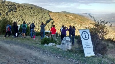 Punt d'informació a Boumort sobre la brama del cérvol (Foto: ACN)