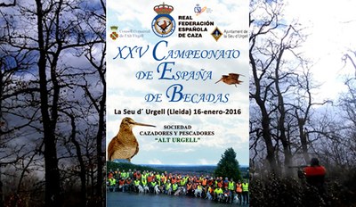 Campionat d'Espanya de Becades