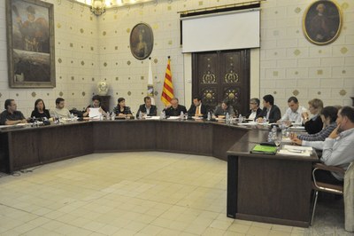 Ple Municipal - Novembre 2009