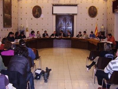 Ple de l'Ajuntament de la Seu - 2008