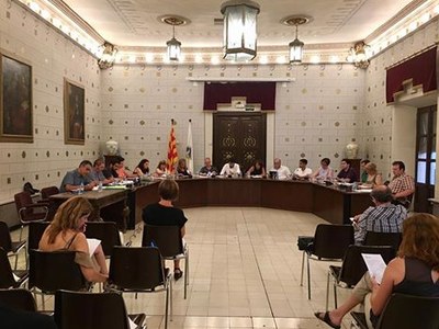 Ple de la Seu d'Urgell