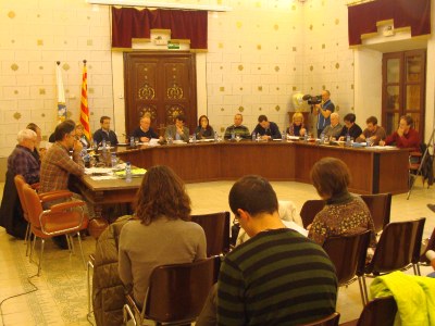 Ple Ajuntament la Seu 02.2014