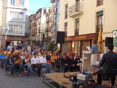Diada Nacional 2013 - Acte institucional