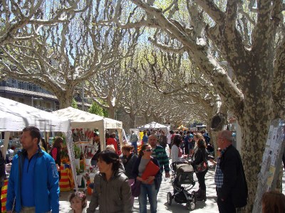 Sant Jordi 2013