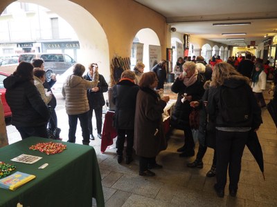 Actes a favor de La Marató a la Seu d'Urgell