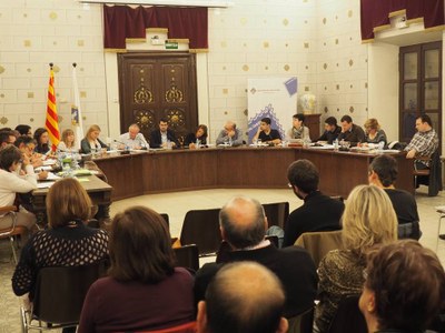 Ple de l'Ajuntament de la Seu - Octubre 2015