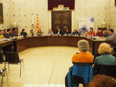 Ple de l'Ajuntament de la Seu