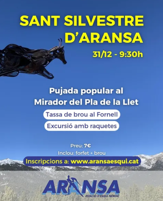 Sant Silvestre amb raquetes de neu a Aransa