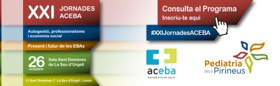 XXI Jornades ACEBA a la Seu d'Urgell
