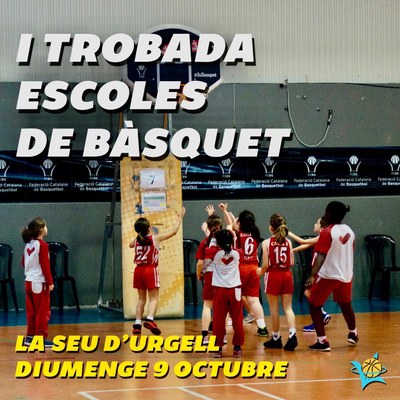 Trobada d'Escoles de Bàsquet a la Seu d'Urgell