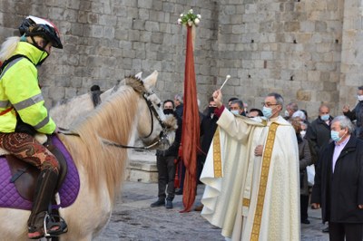 Benedicció dels animals en la celebració de Sant Antoni a la Seu d'Urgell