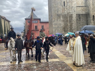 Benedicció dels animals a la plaça dels Oms de la Seu d'Urgell, despres de la missa solemne de Sant Antoni a la Catedral
