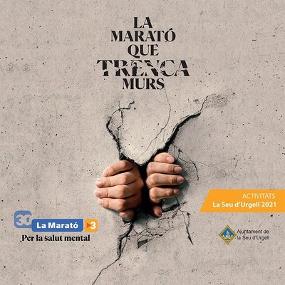 Activitats a la Seu a favor de La Marató