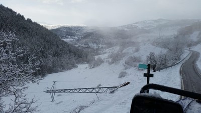 Torre caiguda a la zona de la vall de la Vansa a causa del temporal de neu i vent (Foto: Ajuntament de la Vansa i Fórnols)
