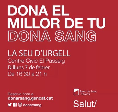 Campanya de donació de sang a la Seu