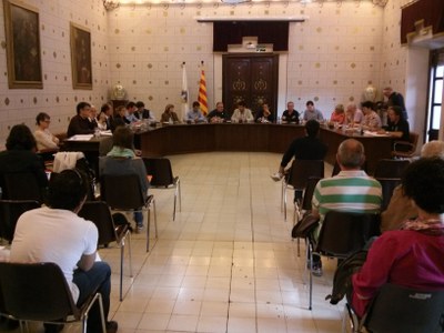 Ple Municipal 13.05.2013