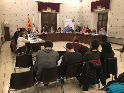 Ple municipal de la Seu (13.02.2017)