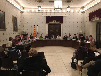 Ple de l'Ajuntament de la Seu